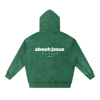 The Snow Wash Hoodie