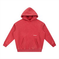 The Snow Wash Hoodie
